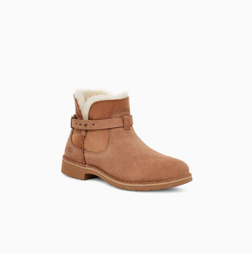 UGG Elisa Brown Boots for Women (YBFL43617)